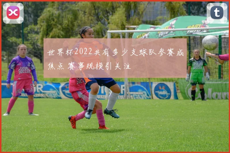 世界杯2022共有多少支球队参赛成焦点 赛事规模引关注